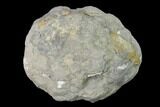 Keokuk Quartz Geode with Calcite Crystals - Iowa #144741-1
